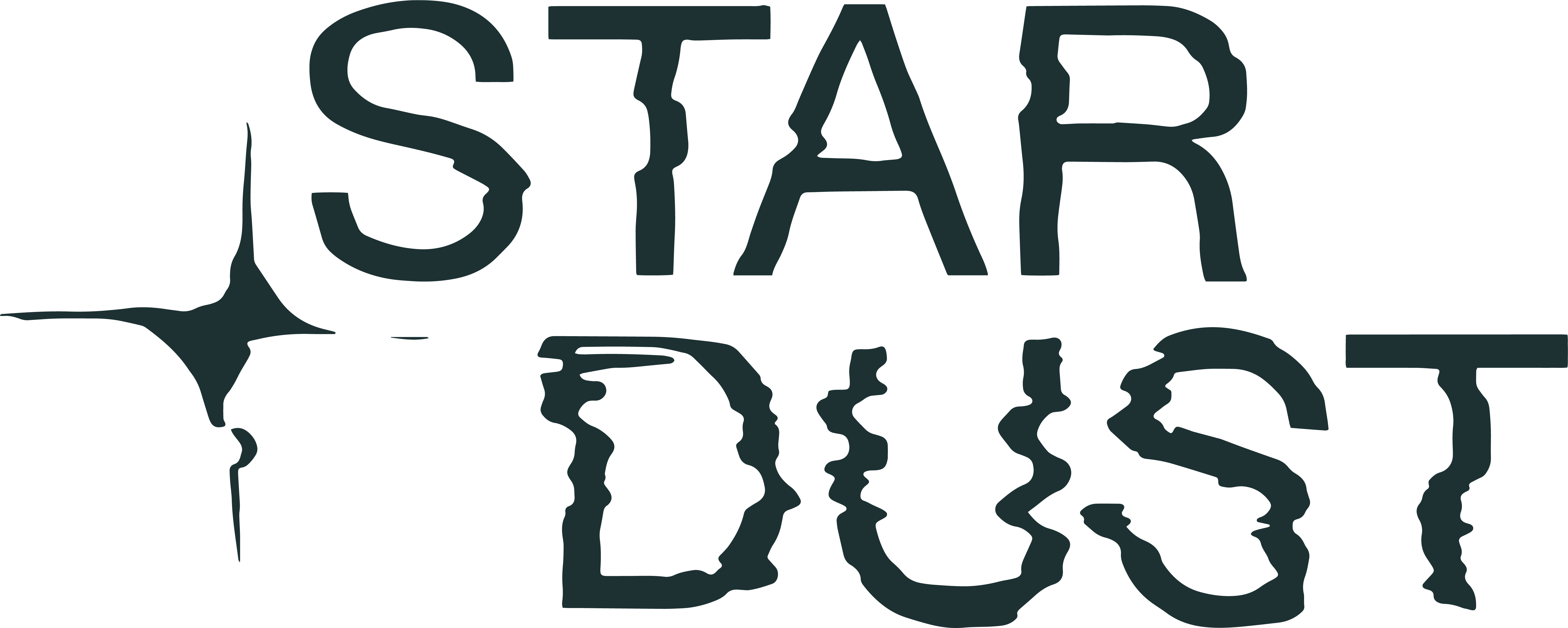 Stardust Logo